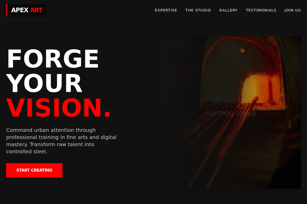 Apex Art Studio