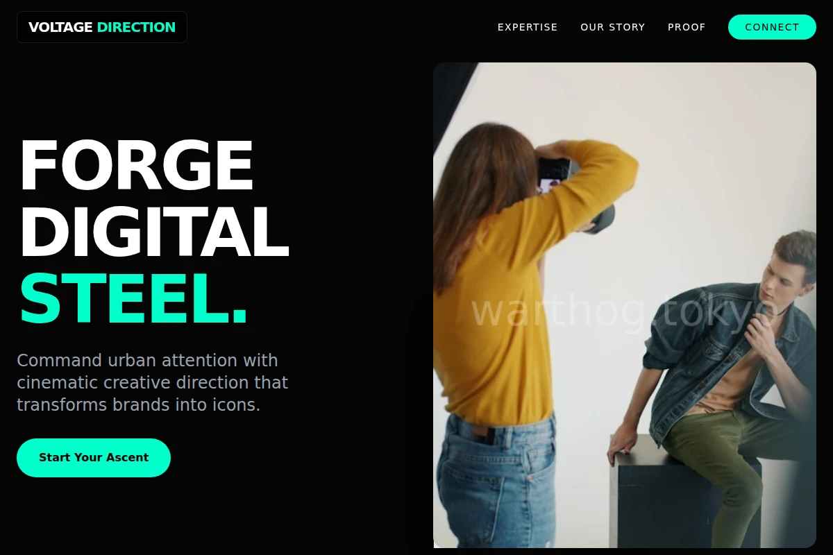 Voltage Creative Direction