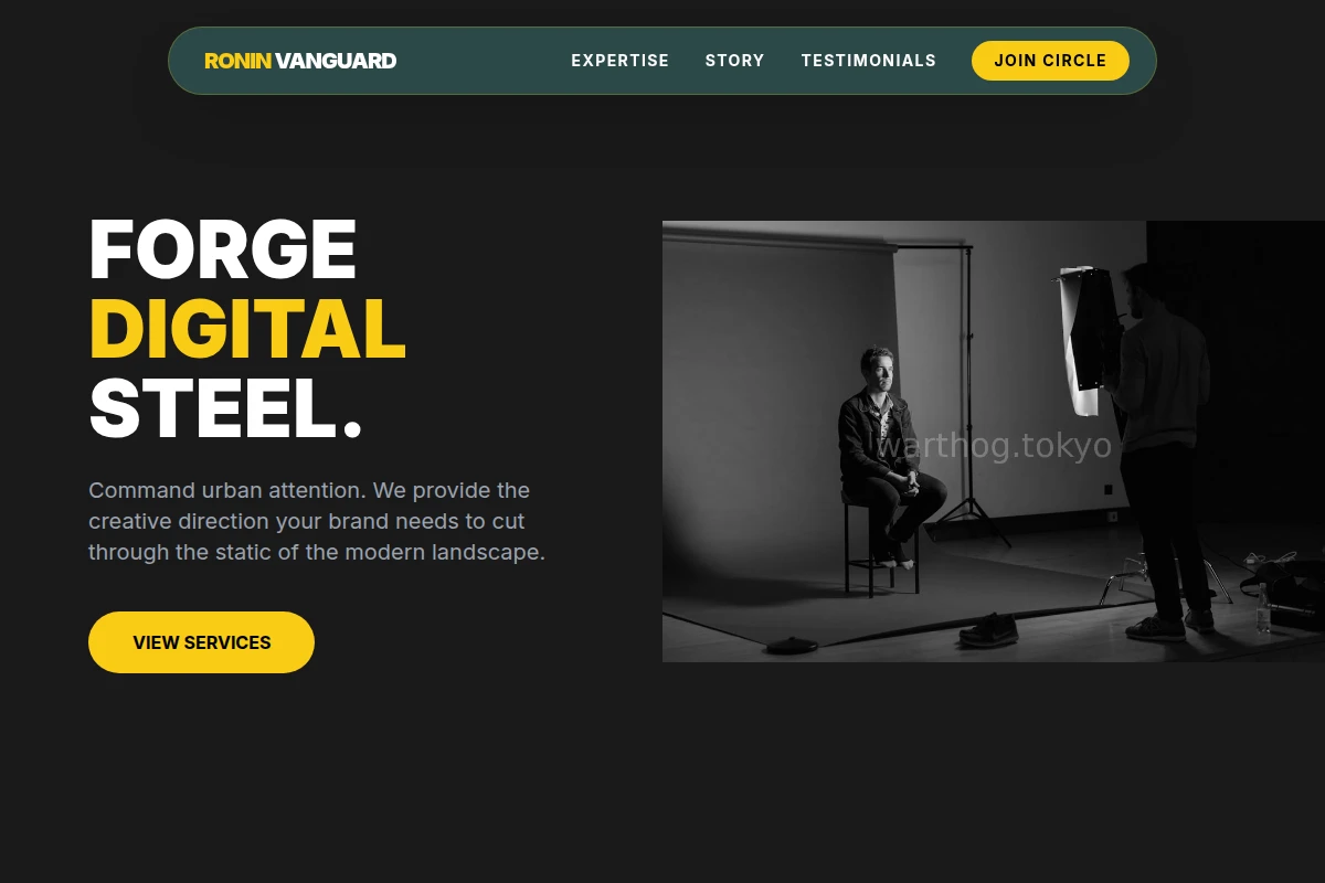Vector Creative Direction