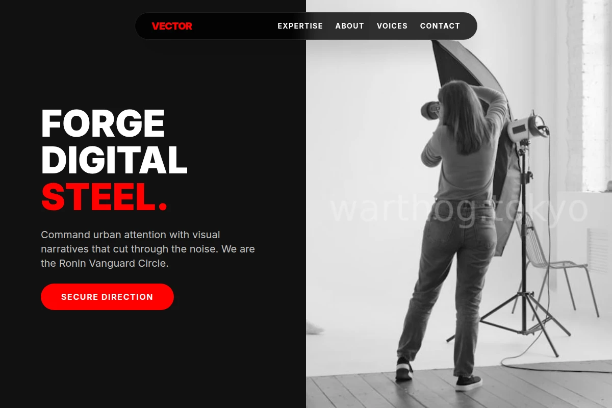 Vector Creative Direction